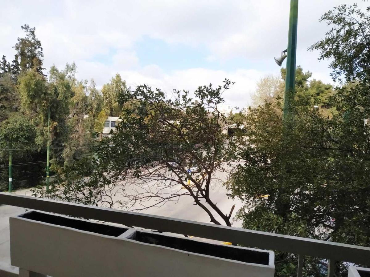 Fully Renovated, Family-Friendly Apartment, Next To A Huge Green Park, In Athens Center Kültér fotó